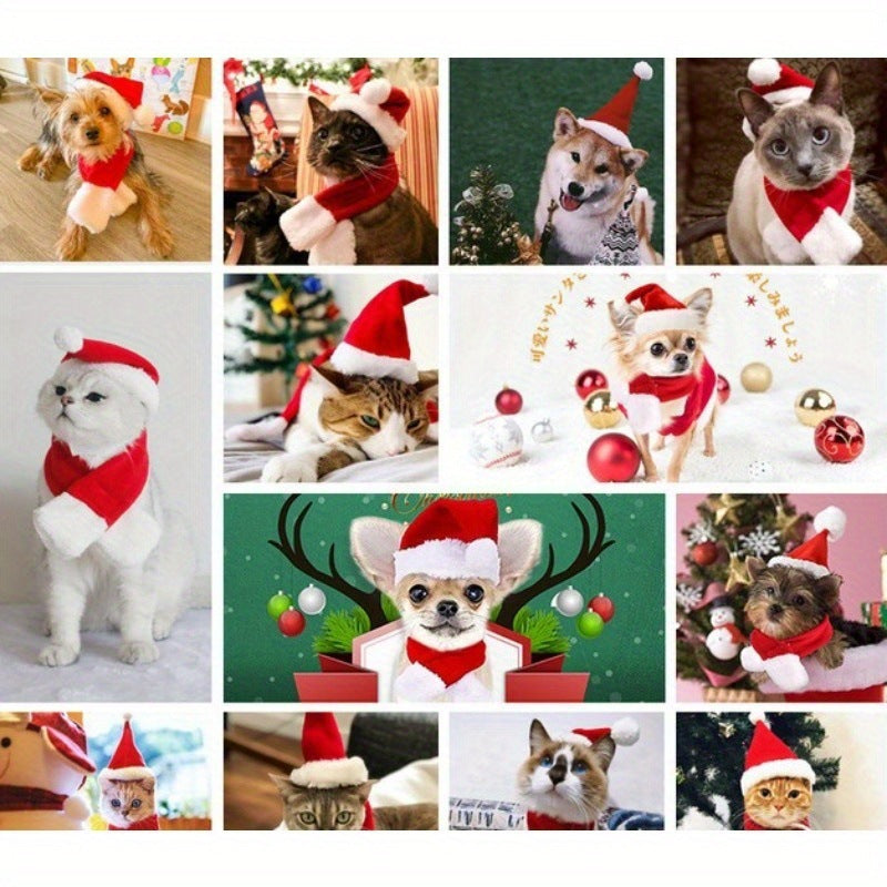 Pet Christmas Hat