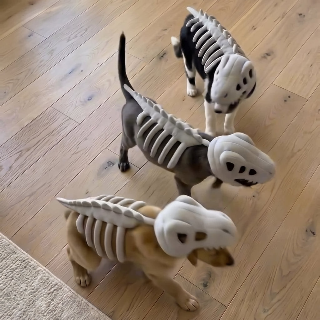 Dinosaur Skeleton Pet Costume