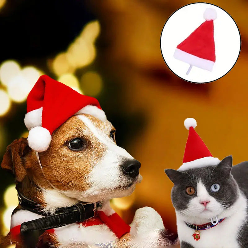 Pet Christmas Hat