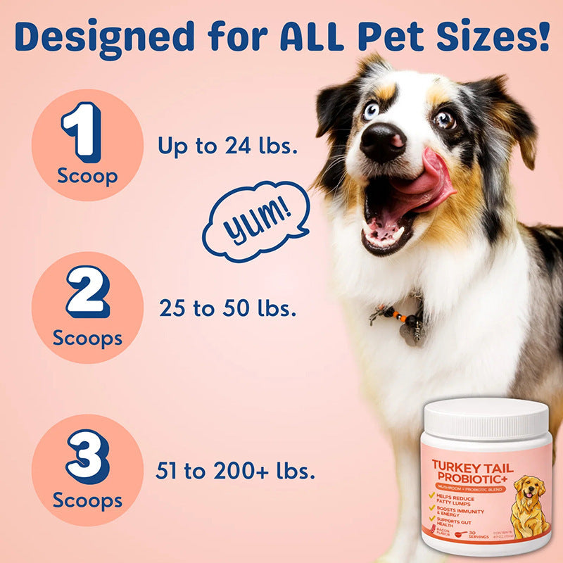 Pet Mushroom Powder