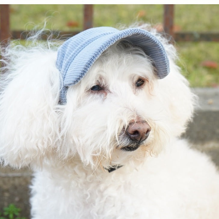 Corduroy pet sun hat
