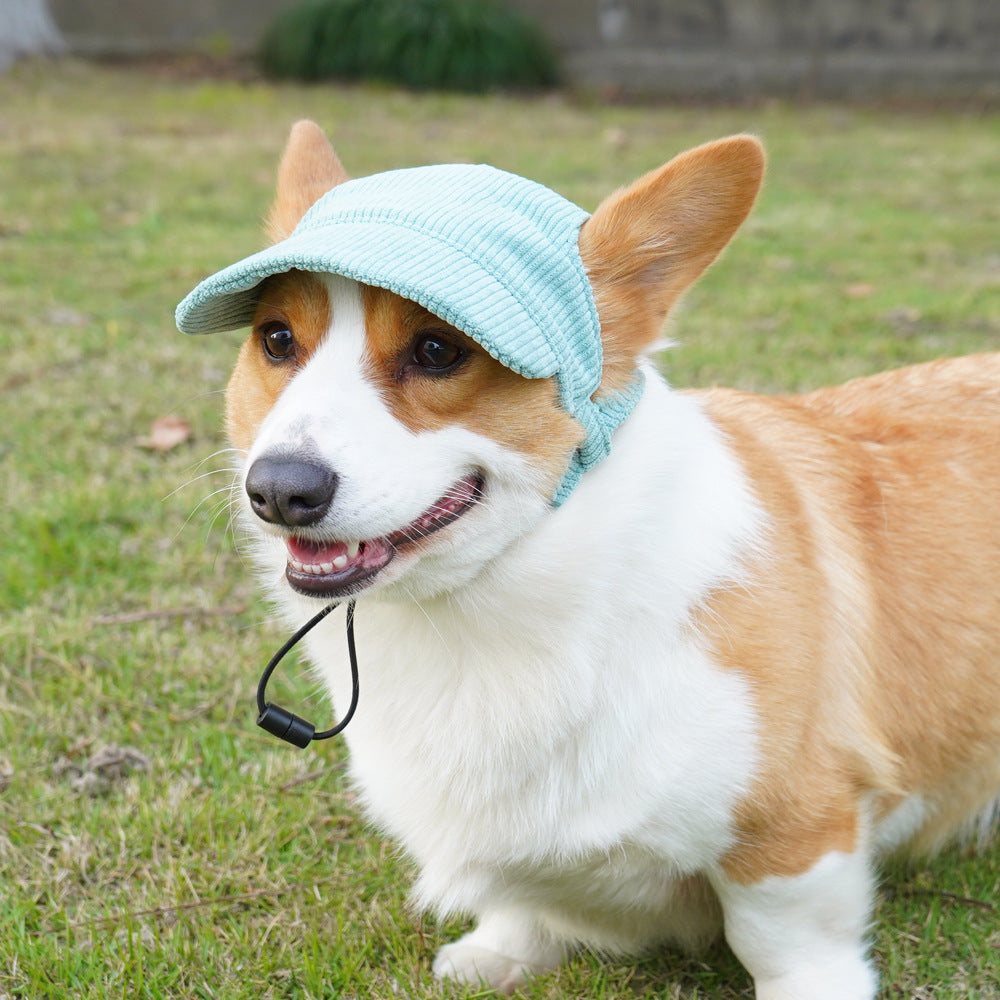 Corduroy pet sun hat