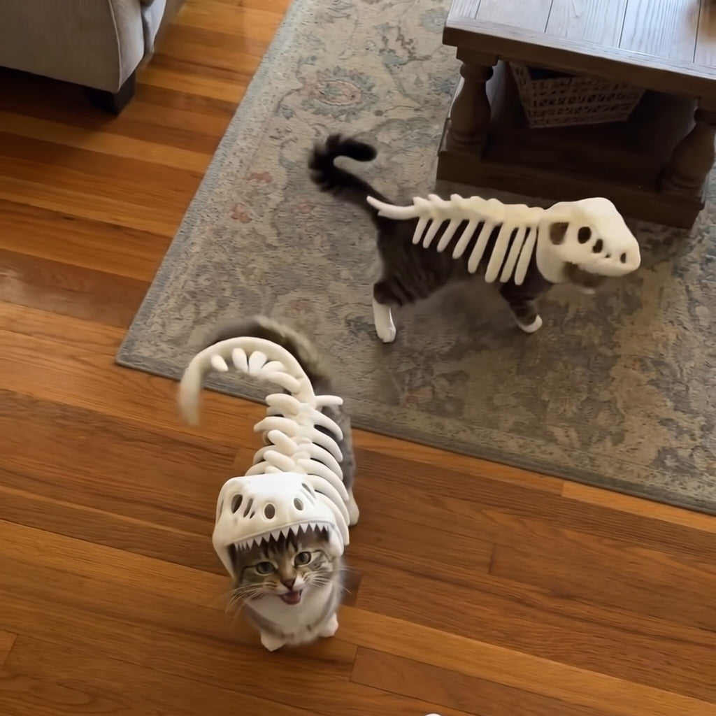 Dinosaur Skeleton Pet Costume