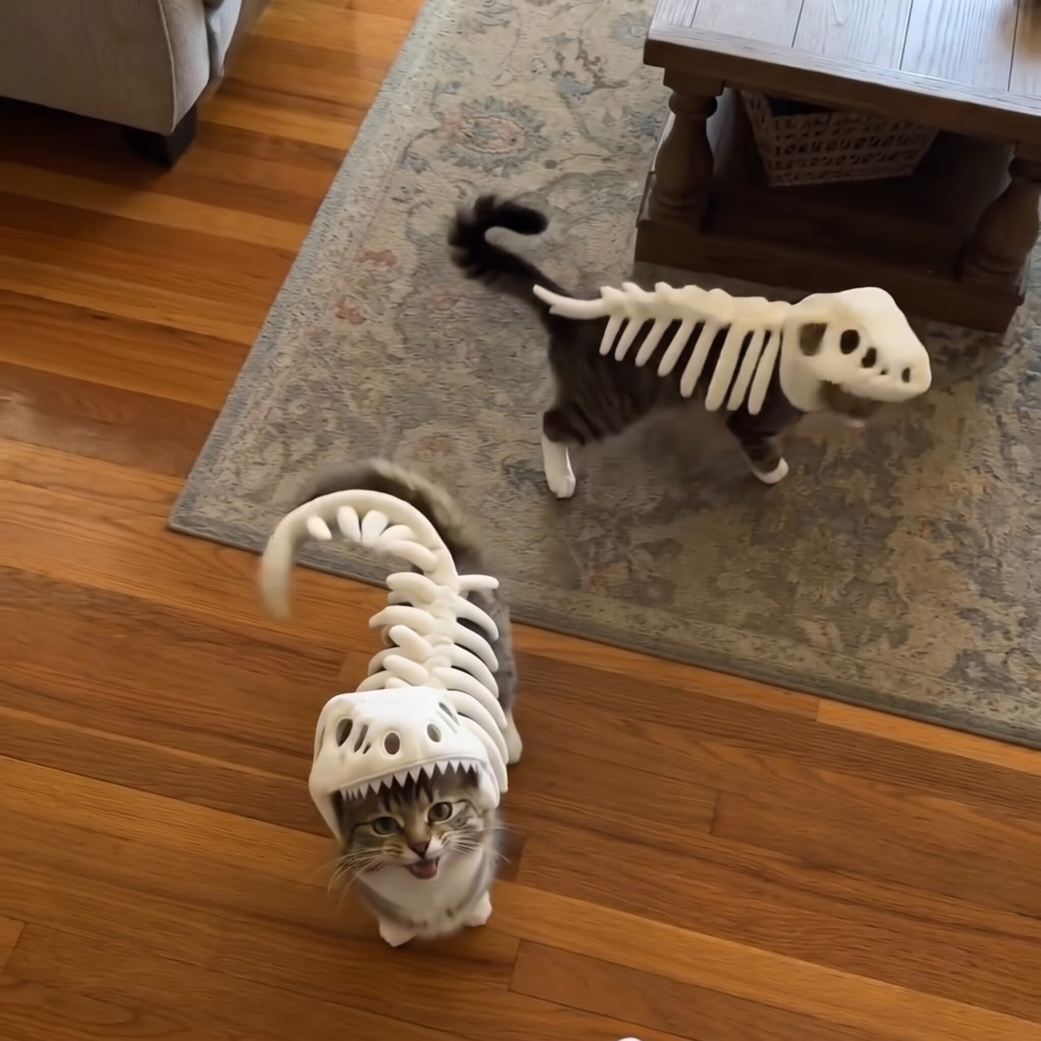 Dinosaur Skeleton Pet Costume